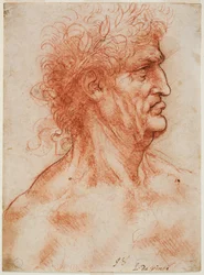 Virile Head in Profile Crowned with Laurel
